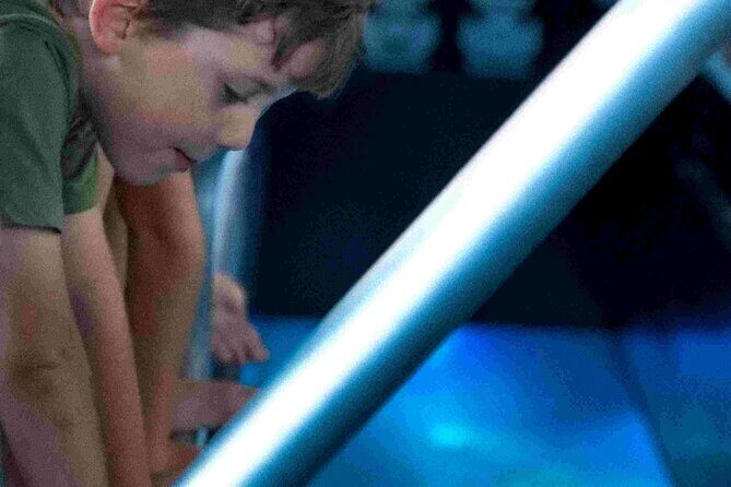 Airlie Beach Glass Bottom Boat Guided Night Tour - FAQs