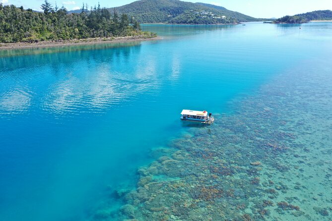 Airlie Beach Glass Bottom Boat Tour - Tour Overview and Highlights
