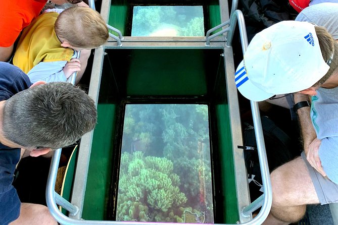 Airlie Beach Glass Bottom Boat Tour - Suitable for All Ages