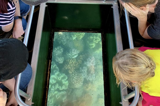 Airlie Beach Glass Bottom Boat Tour - Live Commentary and Learning