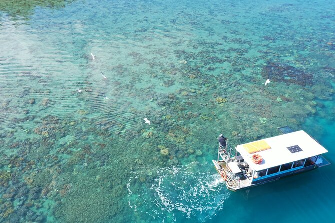 Airlie Beach Glass Bottom Boat Tour - Cancellation Policy and Refunds