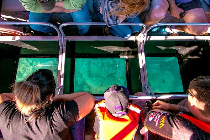 Airlie Beach Glass Bottom Boat Tour - Common Questions