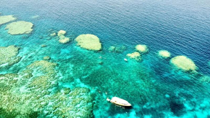 Airlie Beach: Great Barrier Reef & Whitehaven Beach Tour - Discovering the Whitsundays: An 8-Hour Adventure from Airlie Beach