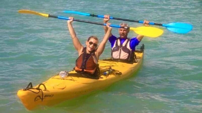 Airlie Beach: Half Day Turtle Tour Sea Kayaking Adventure - Good To Know