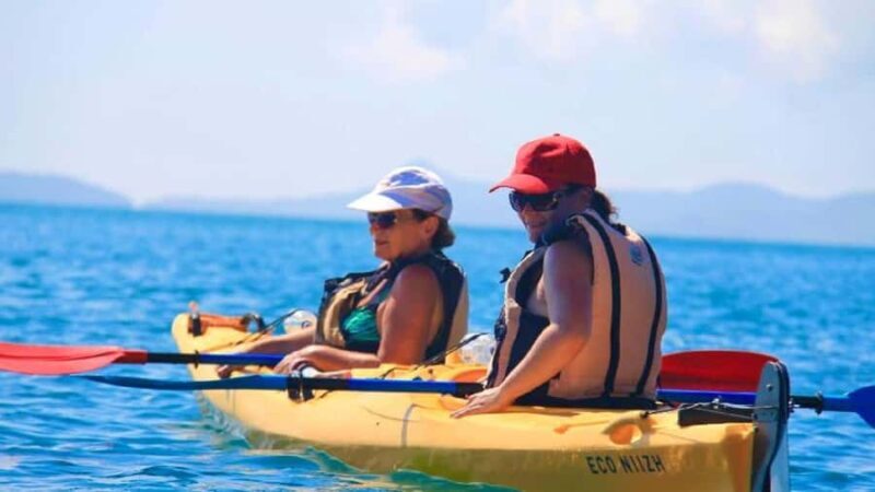 Airlie Beach: Half Day Turtle Tour Sea Kayaking Adventure - Who Will Love This Tour?