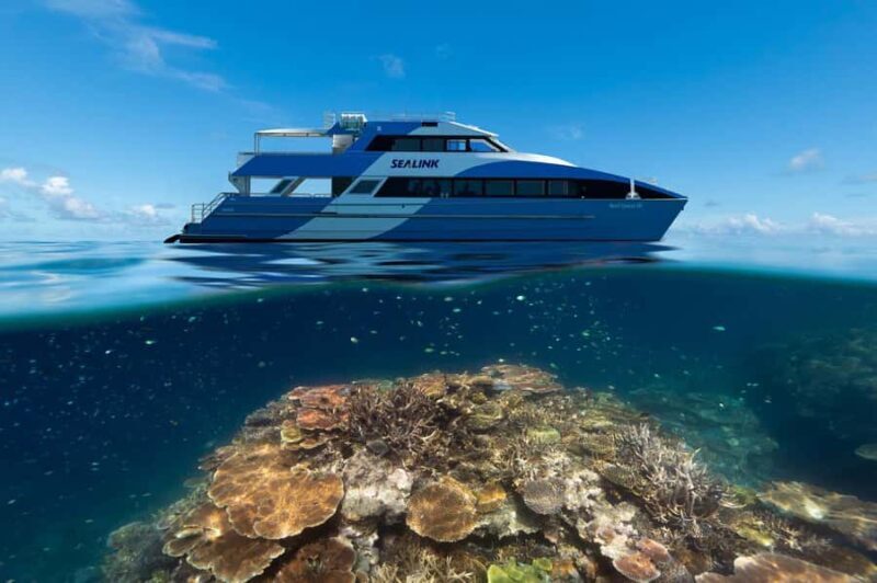 Airlie Beach: Outer Great Barrier Reef Snorkeling Day Trip - An In-Depth Look at the Tour Experience