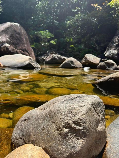 Airlie Beach: Platypus, Eungella and Waterfalls Day Tour - Booking Information