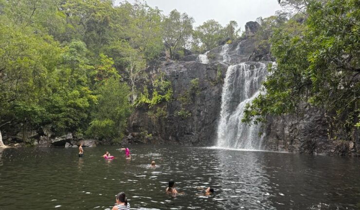 Airlie Beach: Roundtrip Shuttle to Cedar Creek Falls - Experience Highlights