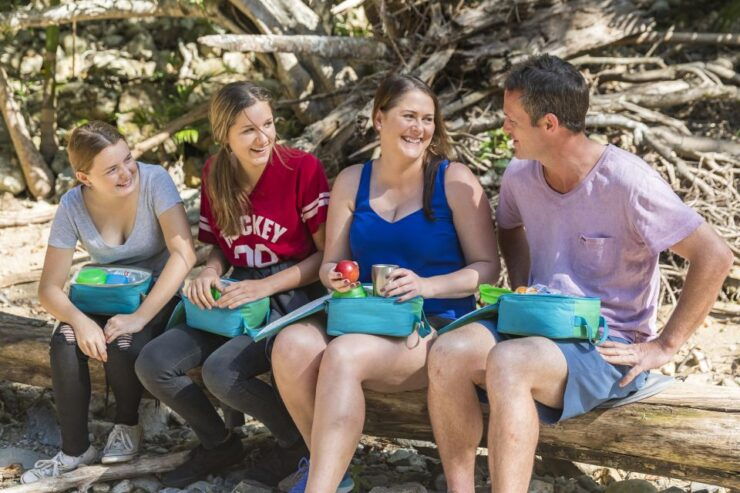 Airlie Beach: Segway Rainforest Discovery Tour - Experience Highlights