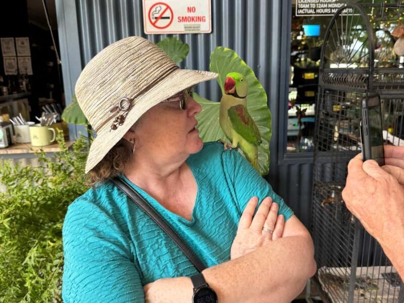 Airlie Beach: Sightseeing Bus Tour - FAQs