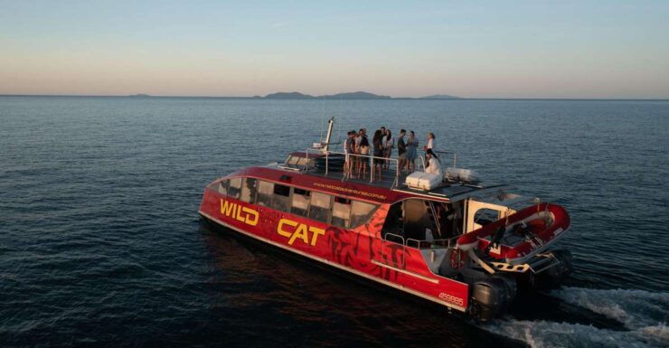 Airlie Beach Sunset Cruise With Champagne & Antipasto - Check-in Information and Location Details