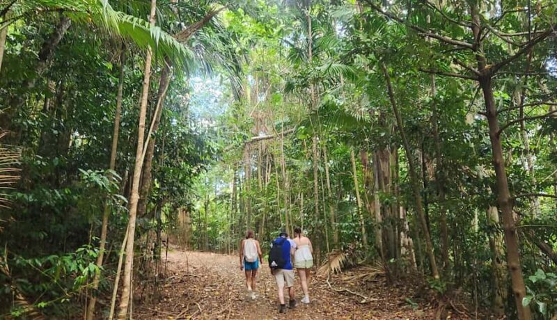 Airlie Beach: Waterfall & Rainforest Bushwalk Eco Adventure - The Sum Up: Who Will Love This Tour?