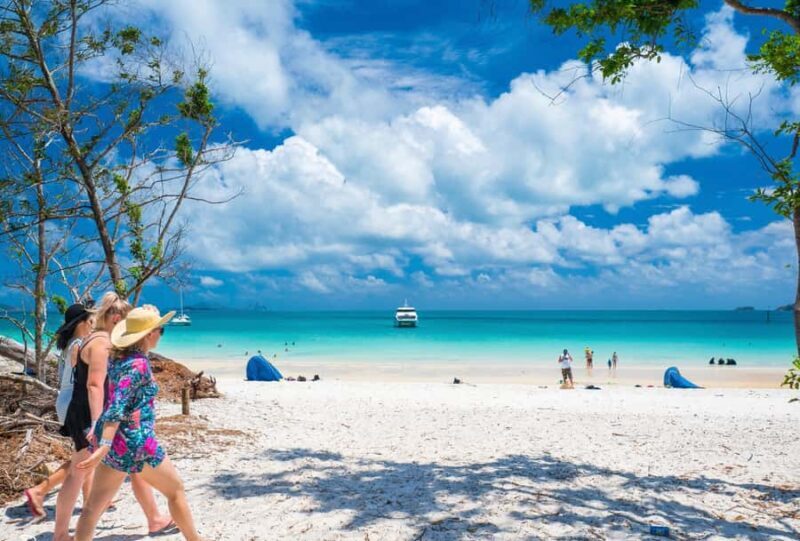 Airlie Beach: Whitehaven Beach Cruise and Hill Inlet - The Itinerary: What You Can Expect