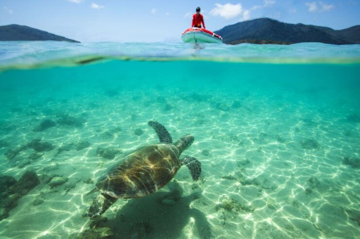 Airlie Beach: Whitehaven Full-Day Eco-Cruise With Buffet - Unforgettable Experience