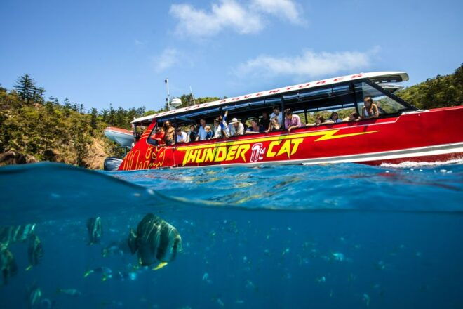 Airlie Beach: Whitehaven Full-Day Eco-Cruise With Buffet - Happy Customer Testimonials