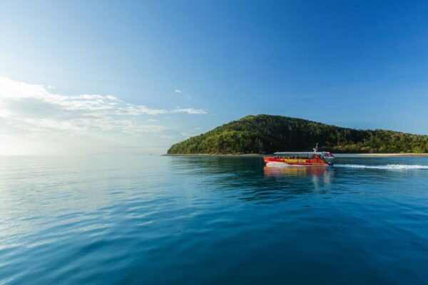 Airlie Beach: Whitehaven Full-Day Eco-Cruise With Buffet - Common Questions