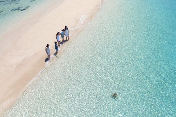 Airlie Beach: Whitehaven Full-Day Eco-Cruise With Buffet - The Sum Up