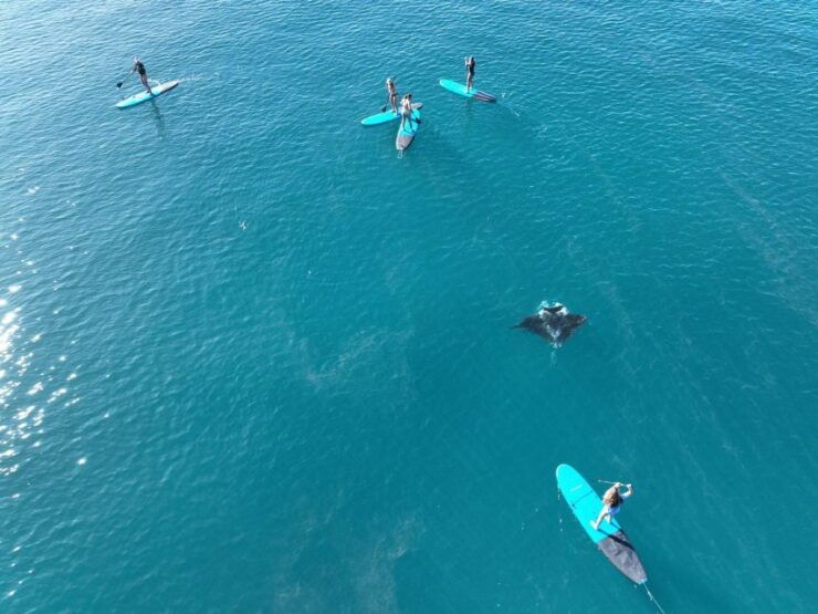 Airlie Beach: Whitsunday Island Sail, SUP & Snorkel Day Tour - Activity Details