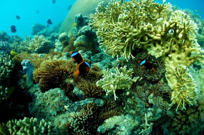 Airlie Beach: Whitsunday Islands Sailing, SUP & Snorkel Tour - Final Thoughts