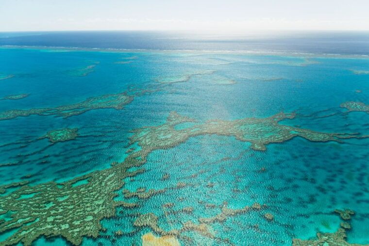 Airlie Beach: Whitsundays & Heart Reef Scenic Flight - The Sum Up