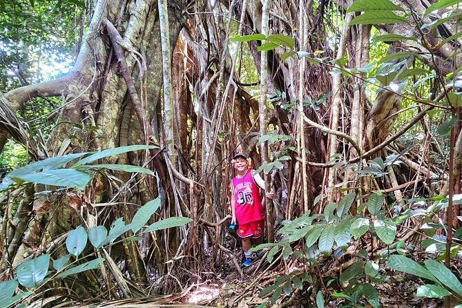 Airlie Waterfalls & Rainforest Bushwalk Eco Adventure - Who Will Love This Tour?