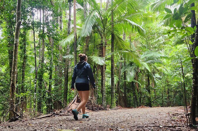 Airlie Waterfalls & Rainforest Bushwalk Eco Adventure - The Sum Up