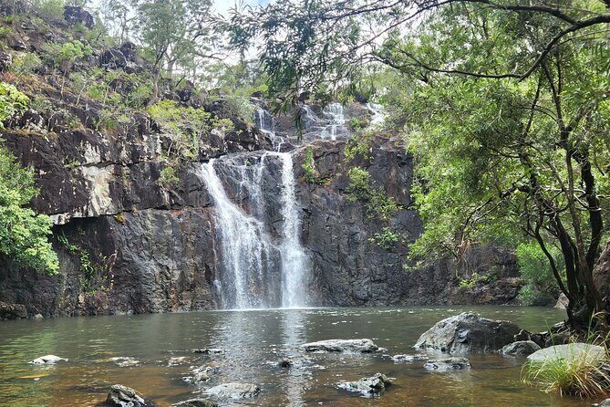 Airlie Waterfalls & Rainforest Bushwalk Eco Adventure - FAQ About the Airlie Waterfalls & Rainforest Bushwalk Eco Adventure