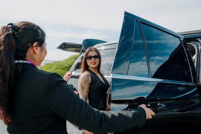 Airport Arrival VIP Meet and Greet with Transportation - Who Would Benefit Most?