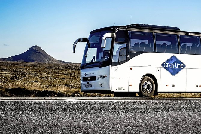 Airport Express Shared Departure Transfer From Reykjavik Hotels to Keflavik Airport - Inclusions and Services Provided