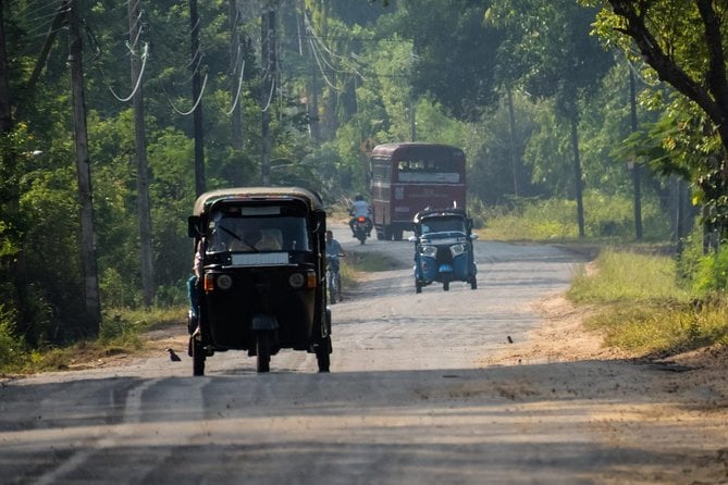 Airport Layover Colombo City Tour - Overview of Colombo City Tour