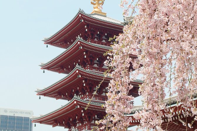 Airport Pick-Up or Drop-Off Service in Tokyo - Cancellation Policy and Refunds