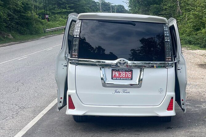 Airport Pickup, Dropoff to any Resort or Airbnb in Montego Bay - Who Would Benefit Most?