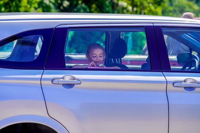 Airport Pickup in Puerto Vallarta: Private Round Trip of 22km - Final Thoughts