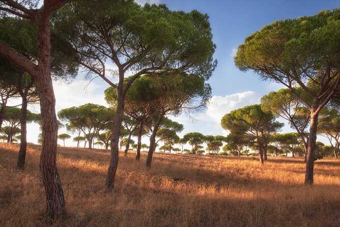 Airport Private Transfer to Fátima Tomar Nazaré - Common Questions