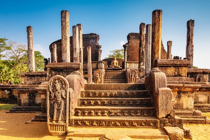 Airport Taxi Transfers From Colombo Airport to Polonnaruwa - Good To Know