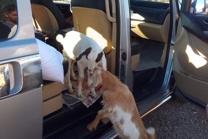 Airport Taxi Transfers Marrakech - What to Expect During the Transfer