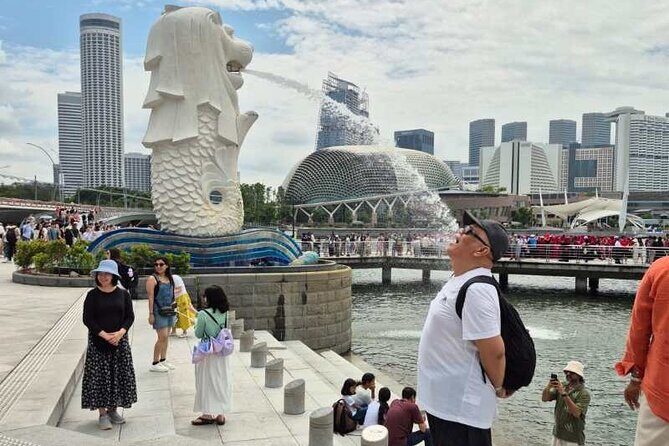 Airport to City and Food Private Tour for Layover and Transit - Who Should Book This Tour?