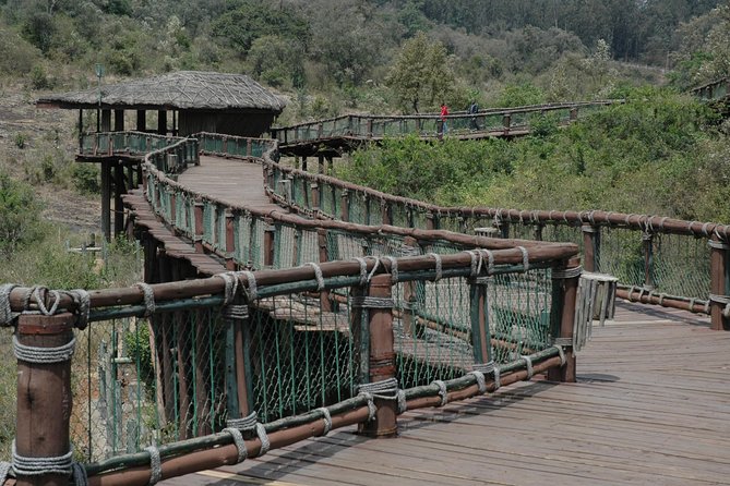 Airport to Hotel Pick up With a Stop at Nairobi Safari Walk - Good To Know