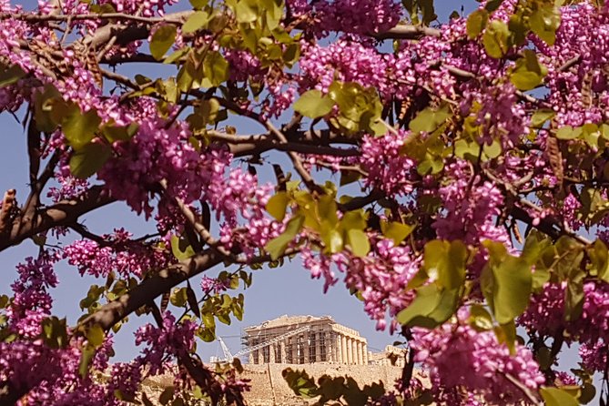 Airport to Nafplio Private Transfer - Drop-off Points