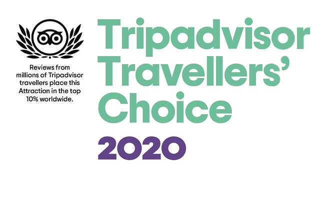 Airport Transfer - Availability of Infant Seats and Accessibility