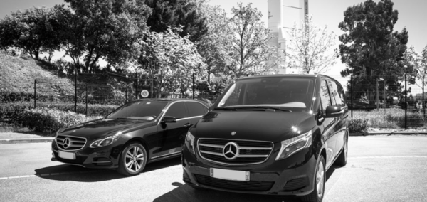 Airport Transfer From Marseille -> Marseille Center/Hotels - Accessibility Options