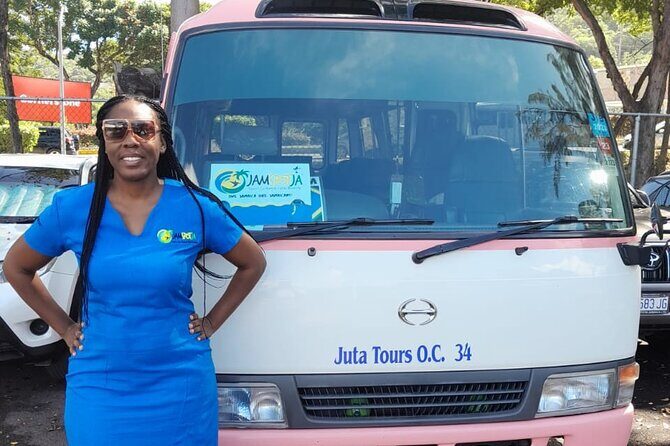 Airport Transfer from Montego Bay to Riu Aquarelle and Eden Bay - Final Thoughts