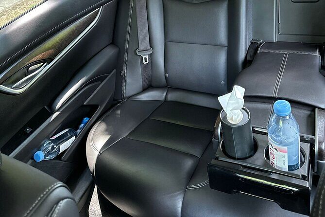 Airport Transfer from Ronald Reagan Airport DCA to Washington DC - A Closer Look at the Service