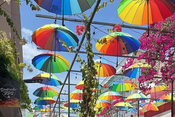 Airport Transfer From Santiago to Puerto Plata one way - Final Thoughts