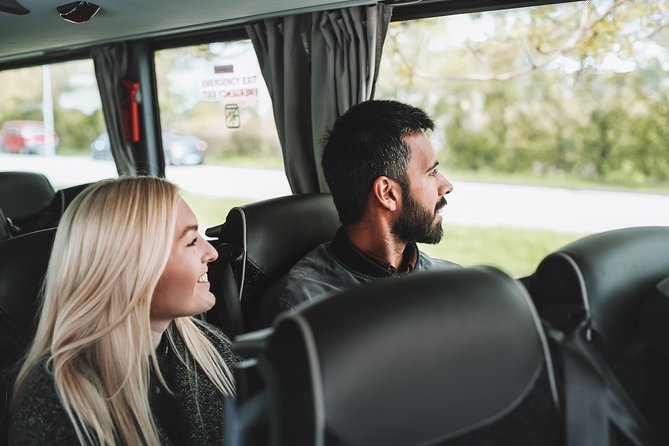 Airport Transfer in Iceland From Keflavik Airport to Reykjavik City With Hotel Drop off - Booking Process for Airport Transfer