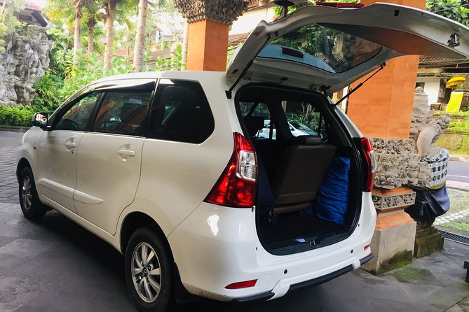 Airport Transfer to Ubud - Transfer Types