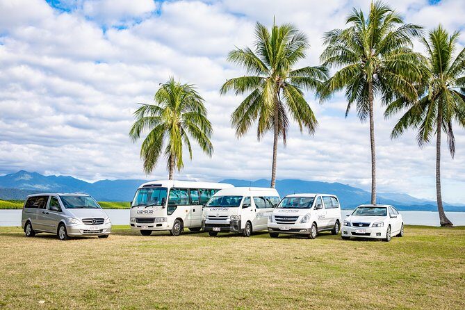 Airport Transfers between Cairns Airport and Palm Cove - Good To Know