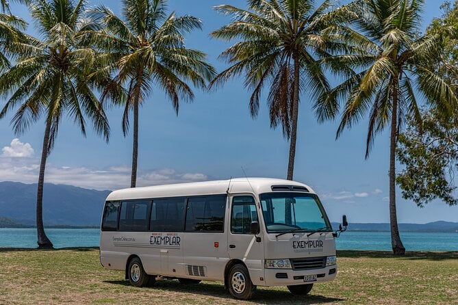Airport Transfers Between Cairns Airport and Palm Cove - Inclusions and Operating Hours