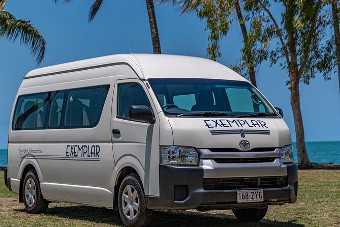 Airport Transfers Between Cairns Airport and Palm Cove - Service Experience