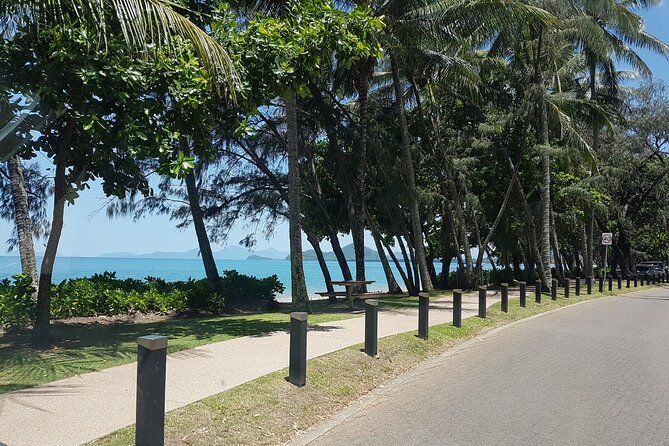 Airport Transfers Between Cairns Airport and Port Douglas - Customer Reviews and Positive Feedback